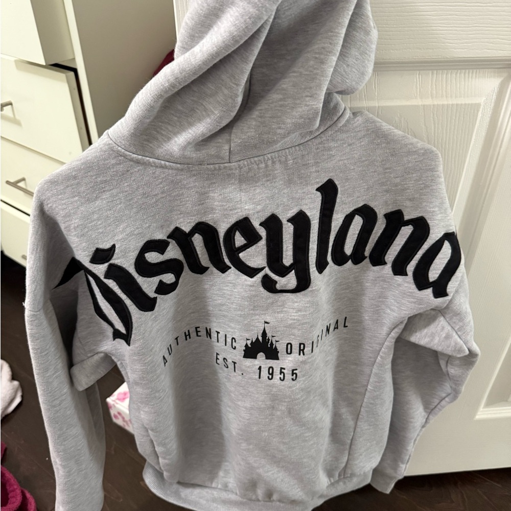 Gray Disneyland Hoodie